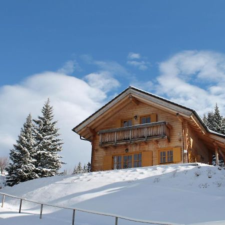 Holiday Home Koralpe Mit Sauna.2 Wolfsberg Exteriér fotografie